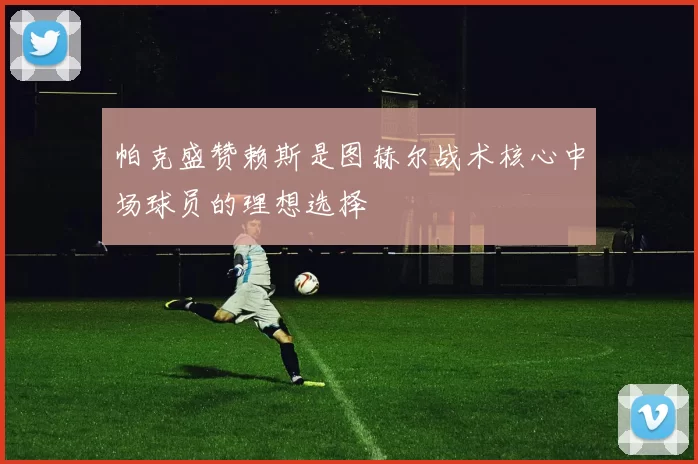 帕克盛赞赖斯是图赫尔战术核心中场球员的理想选择