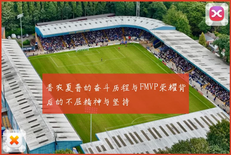 香农夏普的奋斗历程与FMVP荣耀背后的不屈精神与坚持