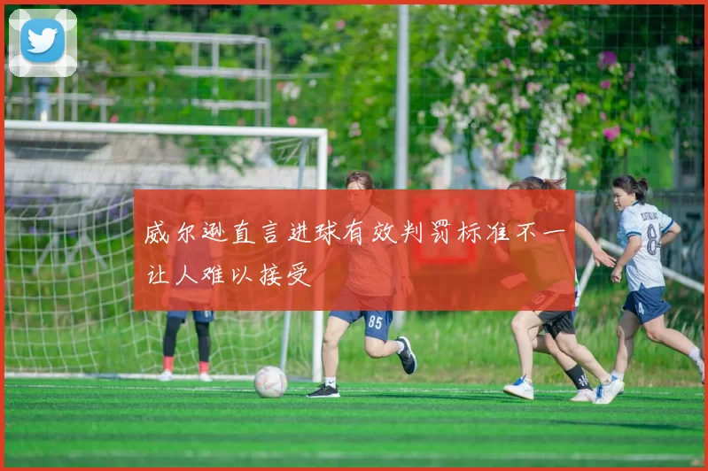 威尔逊直言进球有效判罚标准不一让人难以接受